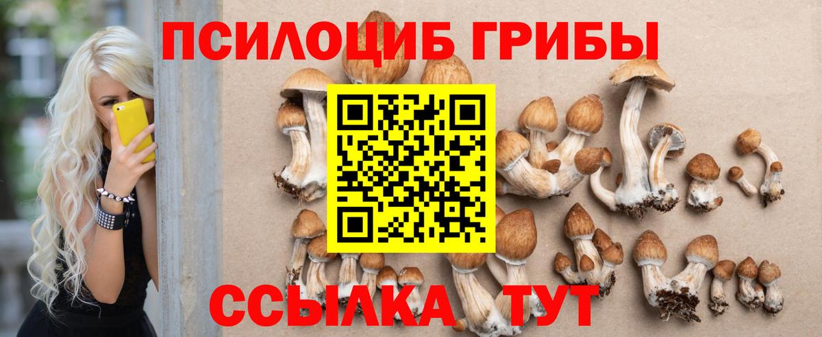 Галлюциногенные грибы мухоморы  Вход с VPN  Чистополь 