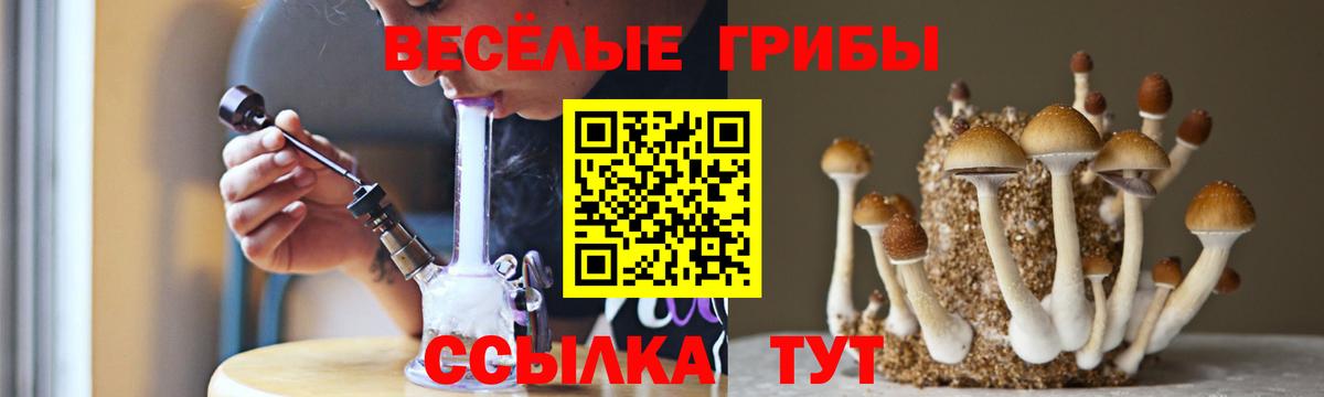 Галлюциногенные грибы ЛСД Чистополь